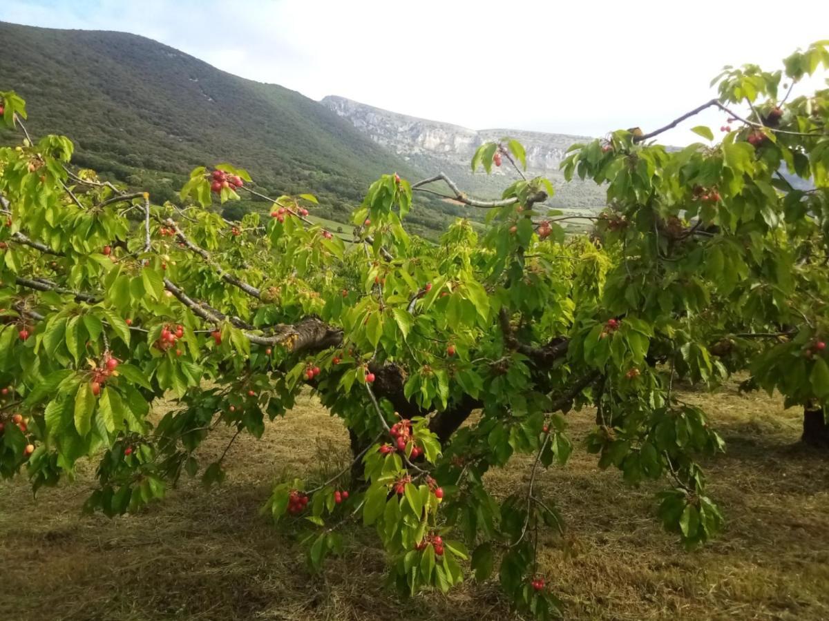 דירות Vidaurreta Casa Rural Ibarbegi II מראה חיצוני תמונה